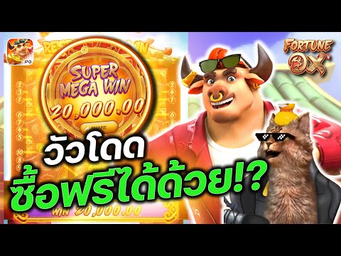 jogos de hoje do cruzeiro ao vivo onde assistir
